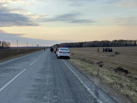 Два человека погибли в аварии возле села Елань Свердловской области