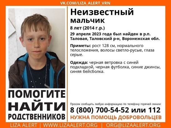 В Воронежской области разыскивают родных неизвестного 8-летнего мальчика