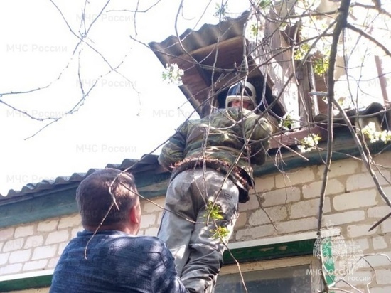 В Курской области спасатели помогли пожилому мужчине выбраться с чердака