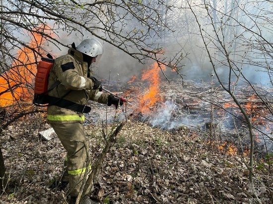 В Орловской области огнеборцы принимают поздравления с 374-летием пожарной охраны России