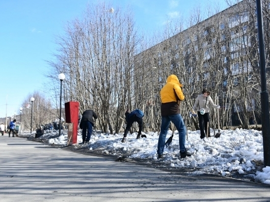 Почти 5 тысяч жителей Мурманска поучаствовали в общегородском субботнике