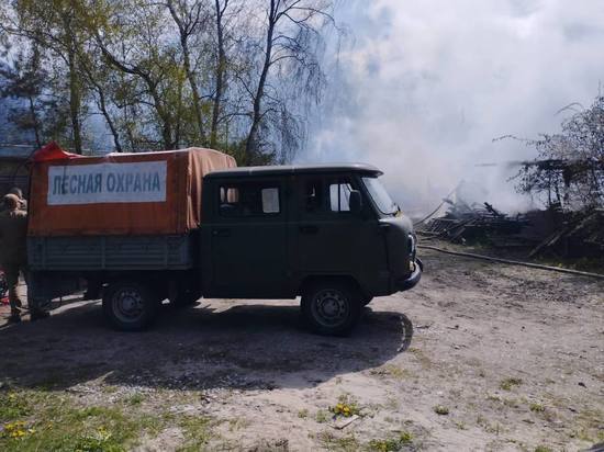 В Лесном пожарные локализовали возгорание в кафе «Гудвин»