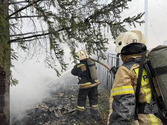 В Омском районе сгорели 13 нежилых строений и сухая трава