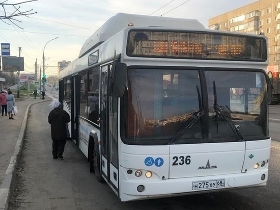 В Тамбове с 1 мая увеличат количество автобусных рейсов на Чистые пруды