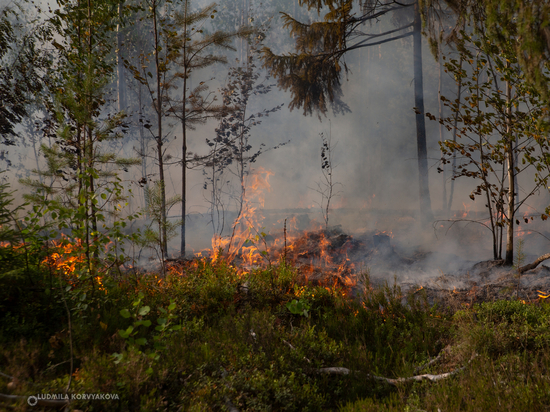В Карелии названы новые даты начала пожароопасного сезона