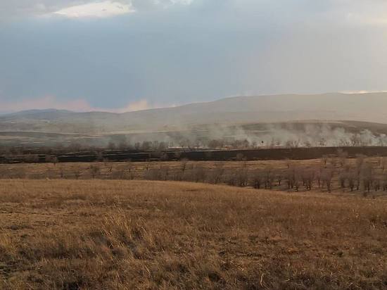 Возгорание сухой травы на площади 20 га произошло на юге Красноярского края