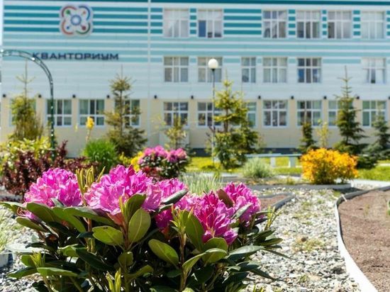 Стартовал прием заявок на участие в конкурсе «Цветущий Южный»