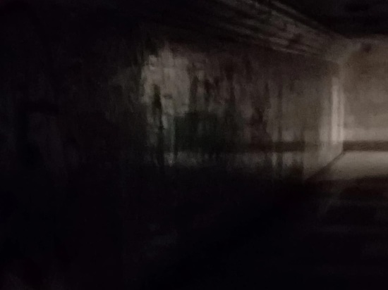 Вандалы разгромили лампы в подземном переходе в Калуге