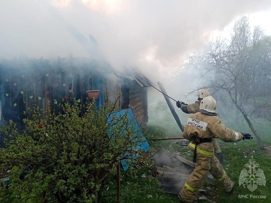 В Новгородской области за один вечер сгорели три бани