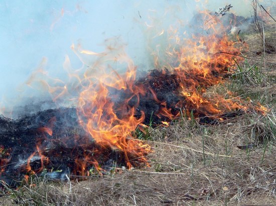 Не менее девяти жилых домов загорелись в городе Борзя Забайкальского края
