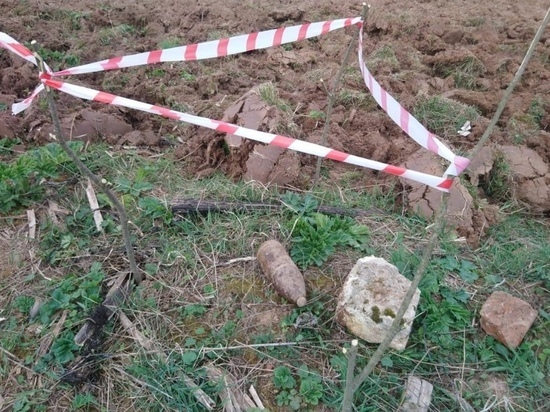 5 боеприпасов времён ВОВ нашли в подмосковных деревнях за сутки