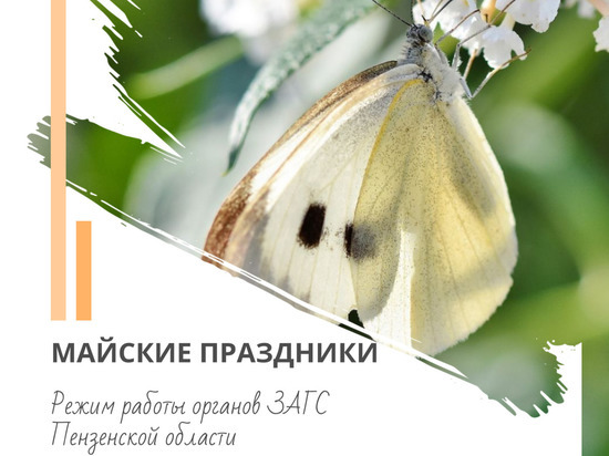 Пензенцам рассказали режим работы ЗАГСов в майские праздники