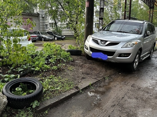 Жители улицы Халтурина в Рязани пожаловались мэру на парковку на зелёной зоне