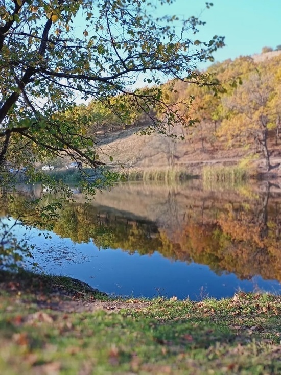 Елшанка Саратов водоём