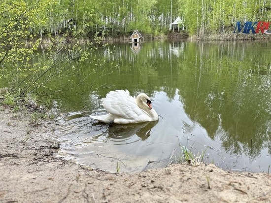 2 мая в Рязанской области ожидается небольшой дождь и до +17 градусов