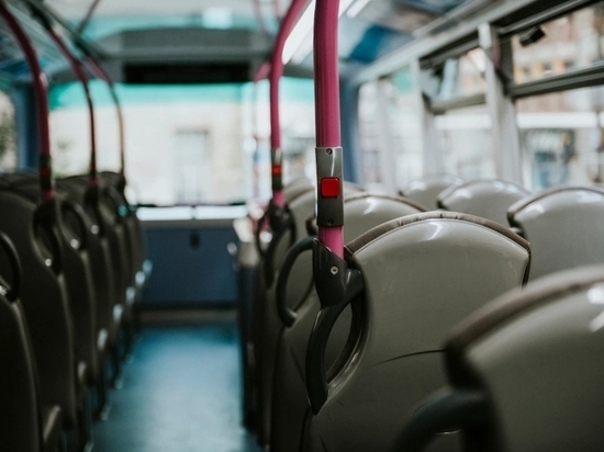 В Липецке перевозчика оштрафовали за разрисованные спинки в автобусе