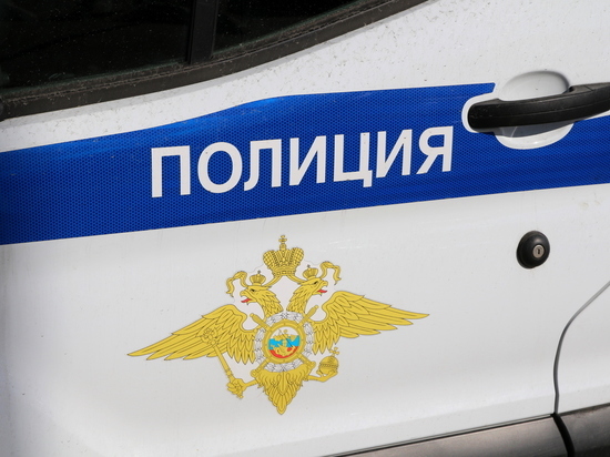 В Ростове возбудили дело по факту жестокого убийства восьмимесячной девочки