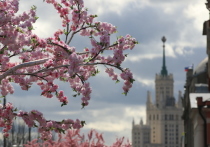 Возвращение тепла в российкую столицу произойдет не ранее середины мая