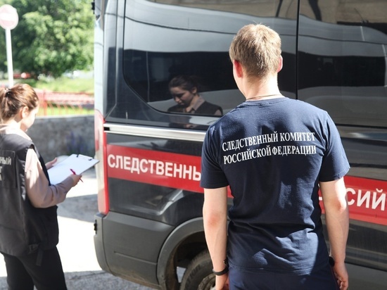 Жительница Тверской области ударила табуретом мужчину, а после зарезала
