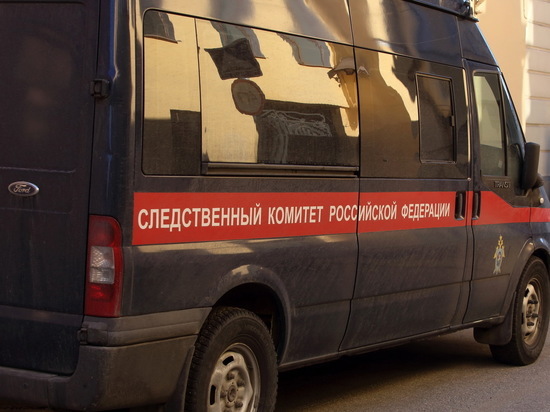 Российская пенсионерка заказала убийство своей невестки