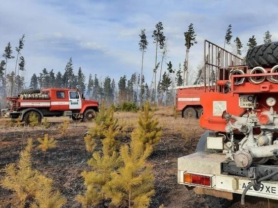 В Приангарье удалось потушить 3 лесных пожара за сутки