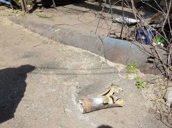 Почти три сотни боеприпасов выпустили ВСУ по территории ДНР за сутки