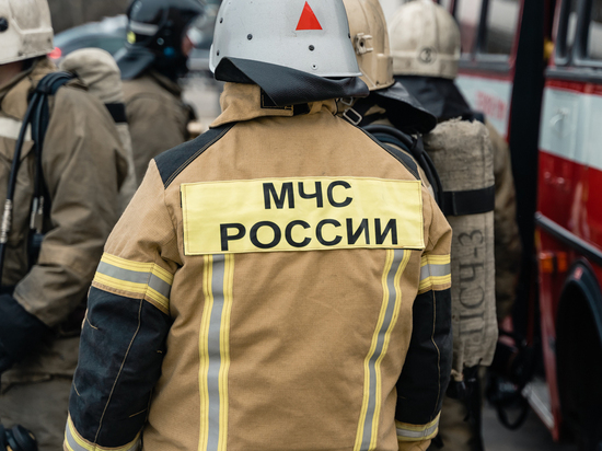 На пожаре в деревне Сергеевка под Рязанью погиб 65-летний мужчина