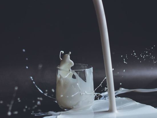 Алтайских скупщиков молока проверили на участие в ценовом сговоре