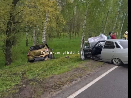 В Белгородской области автомобилистка влетела в дерево из-за столкновения с другой машиной