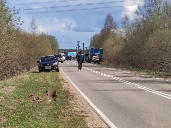Раскрыты новые подробности о подрыве опоры ЛЭП в Гатчинском районе