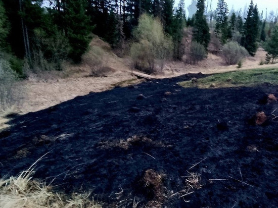 Ландшафтный пожар у Нижнего Кечево занял почти 600 квадратных метров