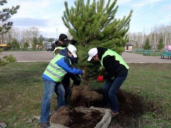 Акция «Зеленая Башкирия» собрала 70 тысяч участников