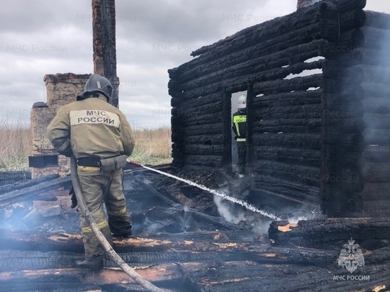Огонь оставил семью в Хотынецком районе без крыши над головой