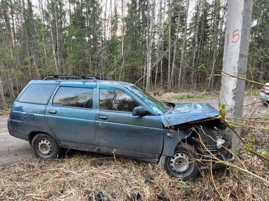 Ребенок и женщина пострадали во время наезда ВАЗа на опору ЛЭП в Череповецком районе