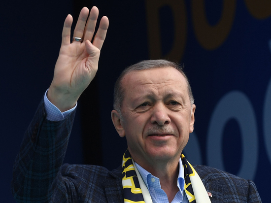 Кто составляет «семейный тыл» президента Турции