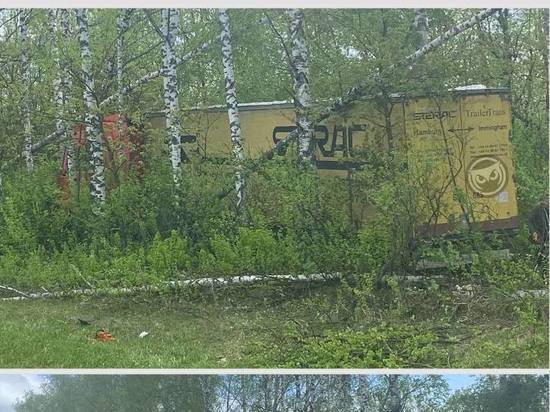 В Пензенской области большегруз улетел в березовую рощу