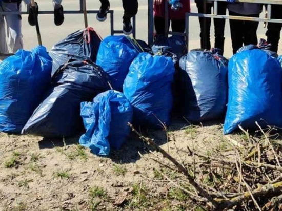 Почти 10 000 кубометров мусора вывезли в Иванове после субботников