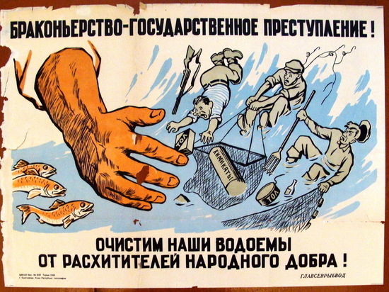 В выходные в пригороде Костромы задержали семерых браконьеров