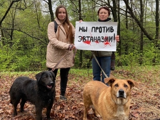 Жители Рязани присоединились к акции против закона об эвтаназии животных