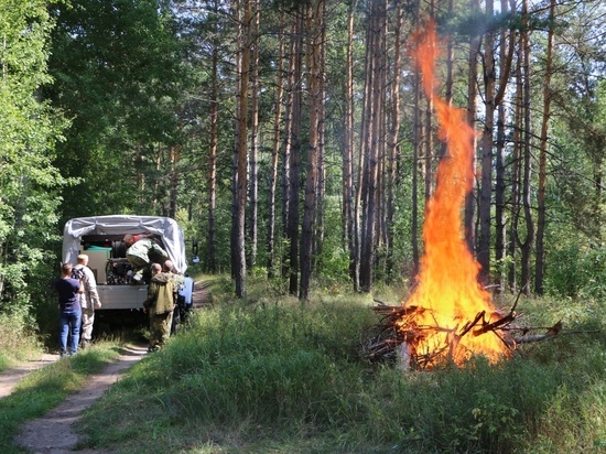 Пензенцев, которые жарили шашлыки в лесу, привлекли к ответственности