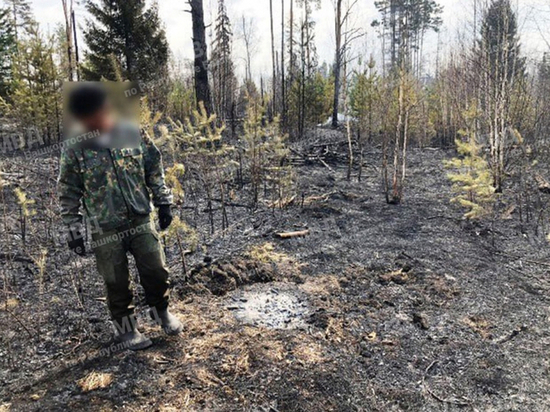 Житель Башкирии, заготавливая древесину, устроил пожар в лесу