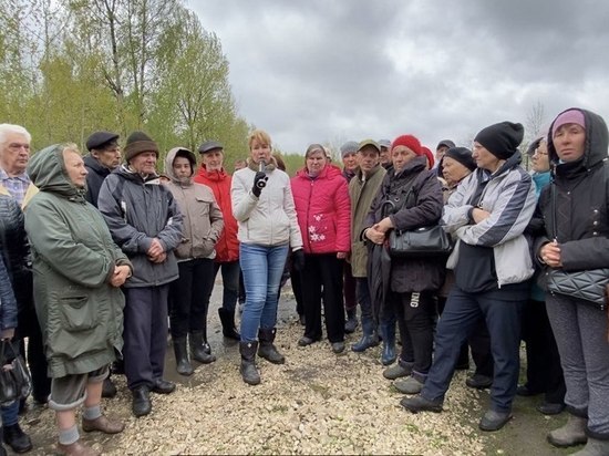 Владимирские дачники просят губернатора подождать с расширением аэропорта