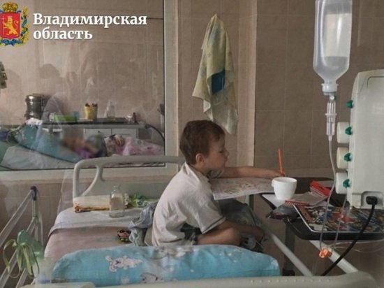 Владимирские врачи вытащили с того света 6-летнего ребенка после ДТП