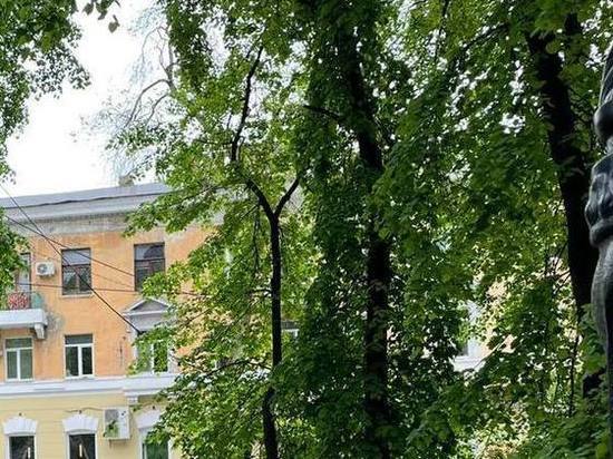 На Волжской высадят 30 вязов