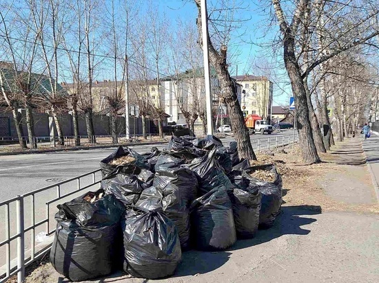 В Кызыле в апреле состоялось 9 субботников