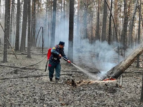 Ямальские спасатели в Кургане не дают лесным пожарам разрастись