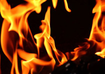 Площадь пожара на нефтебазе на Кубани, где загорелся резервуар с топливом, увеличилась до 1200 квадратных метров, информирует глава Темрюкского района Федор Бабенков в своём Telegram-канале