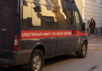 В Нижегородской области восьмилетний мальчик погиб после того, как взял в руки лежавший на земле провод, который находился под напряжением