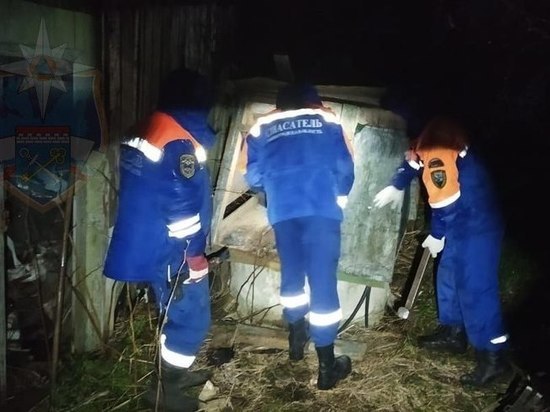 Тело человека нашли в колодце в Кировском районе