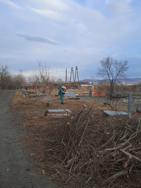 В микрорайоне Зеленая Роща в Красноярске провели противоклещевую обработку